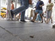 Estados Unidos registra su cifra más baja de r3lacion3s s3xu4les, según informe