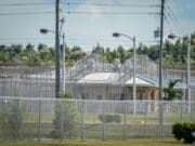Mu3r3 un inmigrante bajo custodia de ICE en Florida, la segunda en el año fiscal 2026