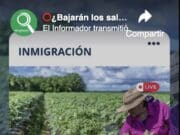 ¿Bajarán los salarios agrícolas? La polémica apenas comienza…