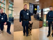 UM Health-West lanza programa de seguridad canina para proteger y brindar tranquilidad a pacientes y personal
