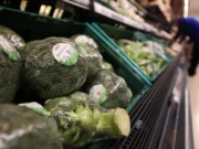 Conclusiones de los informes del Departamento de Estado de Michigan sobre los aranceles nacionales: precios de los alimentos más altos, vivienda más cara y empleos en riesgo