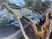 Tormentas y tornados marcaron la primavera de 2025 con muertes, destrucción y apagones masivos