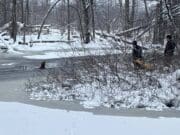 Bomberos de Alpine participan en exitoso rescate acuático de un perro en el río Rogue