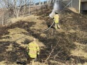 Múltiples incendios de pasto movilizan a bomberos en la I-196; el fuego fue detenido antes de alcanzar una vivienda