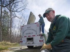 Más de 20 millones de peces son liberados en Michigan para fortalecer ecosistemas de pesca