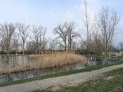 Reportan inundaciones en parques de Wyoming, Michigan; autoridades piden precaución