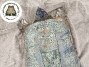 Rescatan a enorme tortuga en playa del Lago Michigan