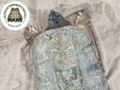 Rescatan a enorme tortuga en playa del Lago Michigan