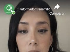 Peligroso enfermedad se dispara en Michigan relacionada con este insecto