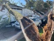 Caos por tormentas: lluvias destruyen puentes, inundan calles y arrancan árboles en Michigan