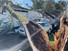 Caos por tormentas: lluvias destruyen puentes, inundan calles y arrancan árboles en Michigan