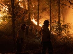 Crece un incendio forestal en Florida y obliga a evacuaciones masivas