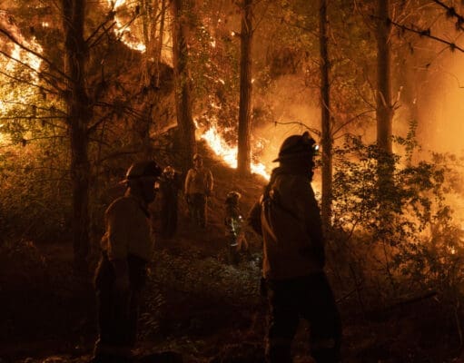 Crece un incendio forestal en Florida y obliga a evacuaciones masivas