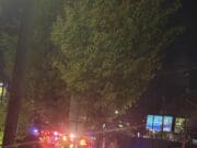 Mujer muere en fatal choque tras conductor que ignoró semáforo en rojo en Grand Rapids