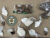 Casi una libra de fentanilo asegurada; dos personas enfrentan cargos por narcotráfico en Kalamazoo