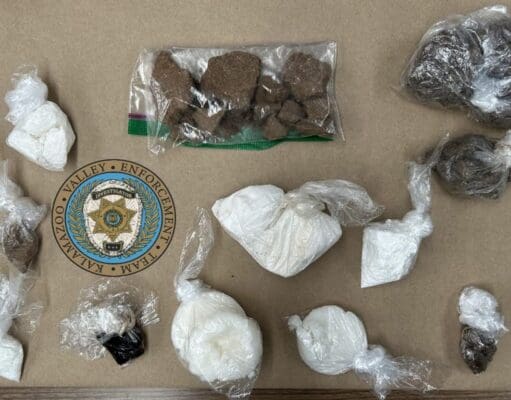 Casi una libra de fentanilo asegurada; dos personas enfrentan cargos por narcotráfico en Kalamazoo