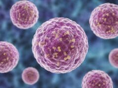 Casos de ciclosporiasis superan los 3,300 en Michigan; autoridades piden reforzar medidas de higiene