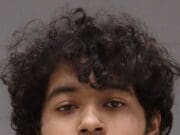 Adolescente revive en el juicio el ataque que cobró la vida de su amigo y de la madre de este en Grand Rapids