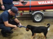 Bomberos de Walker reciben una visita especial durante jornada de “terapia con cachorros”