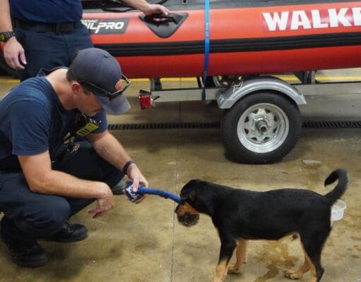 Bomberos de Walker reciben una visita especial durante jornada de “terapia con cachorros”