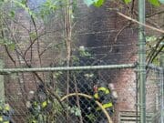 Incendio en subestación eléctrica moviliza a bomberos en Grand Rapids