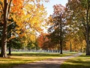 Los parques de Wyoming se llenan de colores otoñales e invitan a disfrutar de la naturaleza